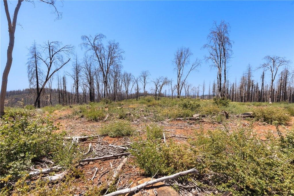 335 Mann And Nolta Ridge Property Photo 17