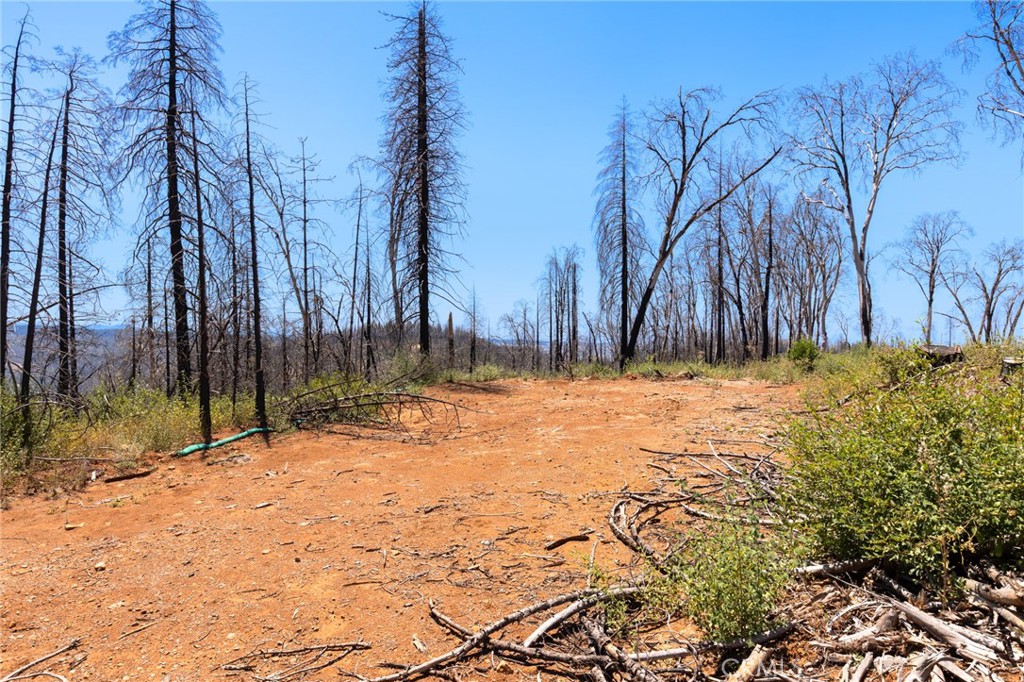 335 Mann And Nolta Ridge Property Photo 18