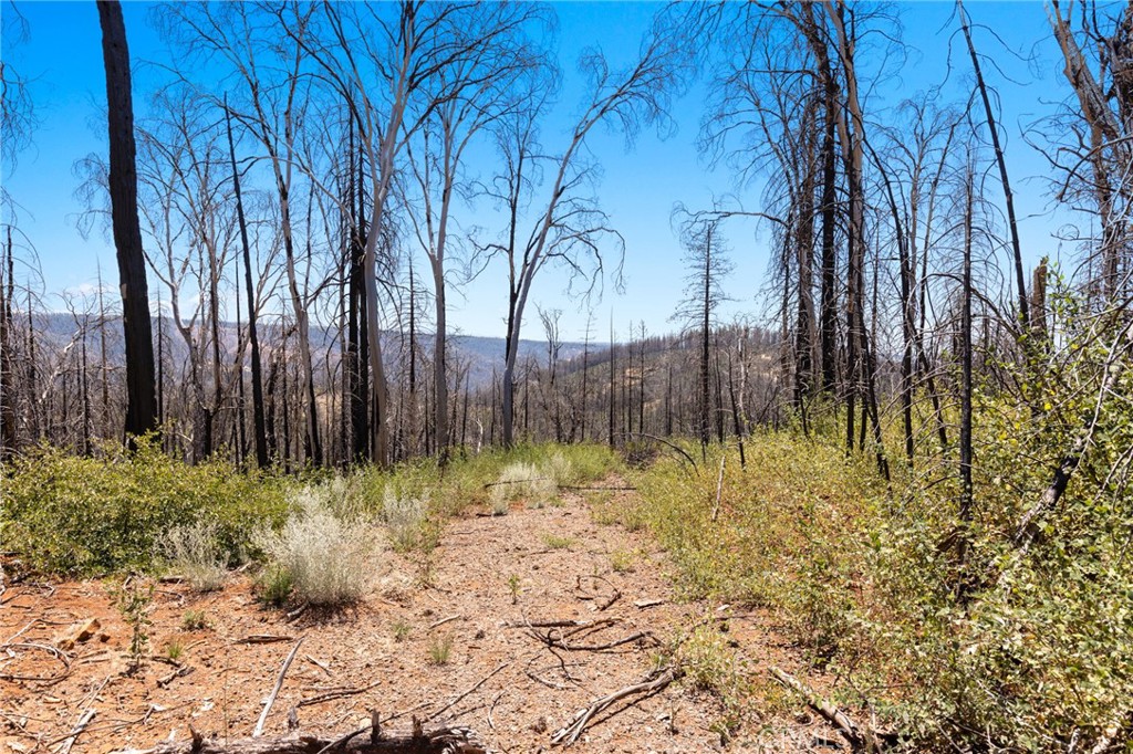 335 Mann And Nolta Ridge Property Photo 19