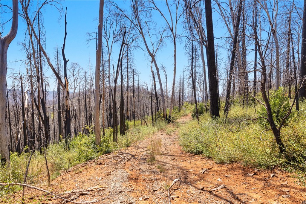 335 Mann And Nolta Ridge Property Photo 20