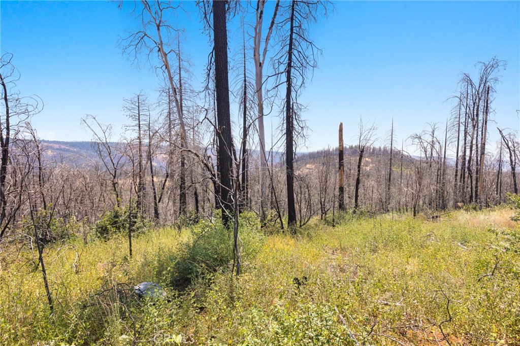 335 Mann And Nolta Ridge Property Photo 24