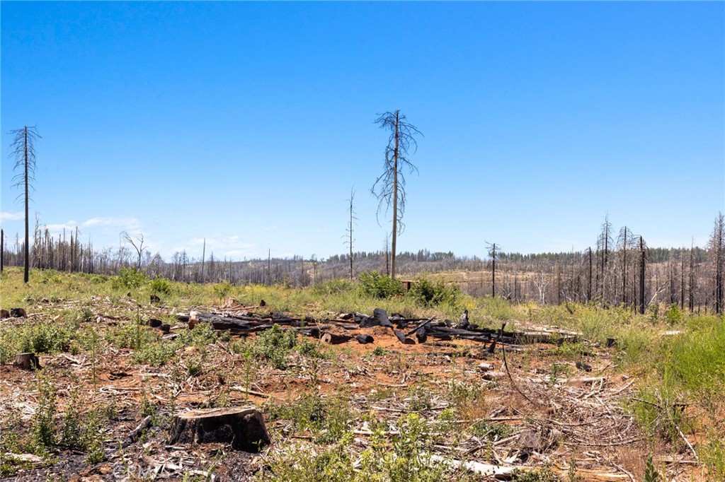 335 Mann And Nolta Ridge Property Photo 25