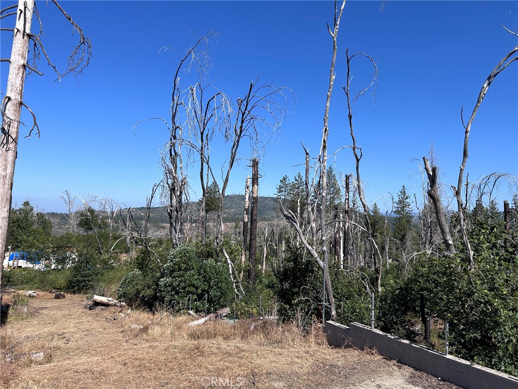 17 Big Oak Property Photo 5