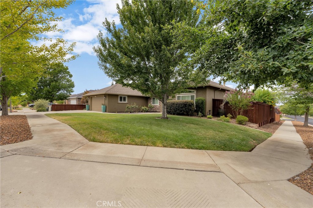 36 Phyllis Court Property Photo 8