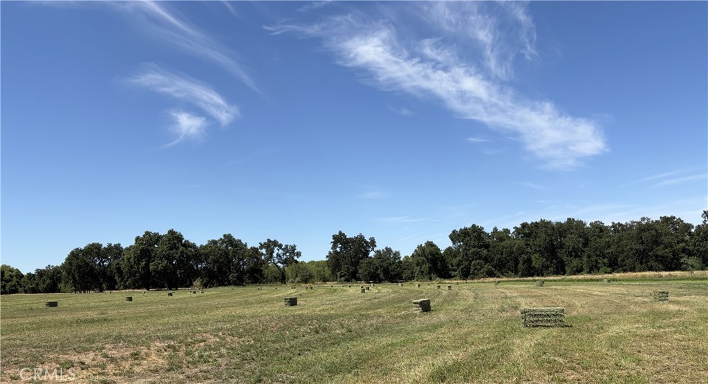 18680 Apple Road Property Photo 6