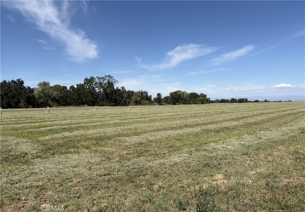 18680 Apple Road Property Photo 7