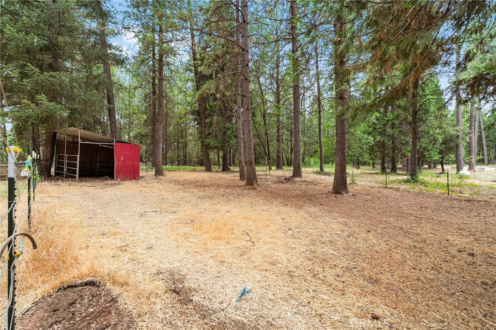 5875 Paschal Property Photo 51