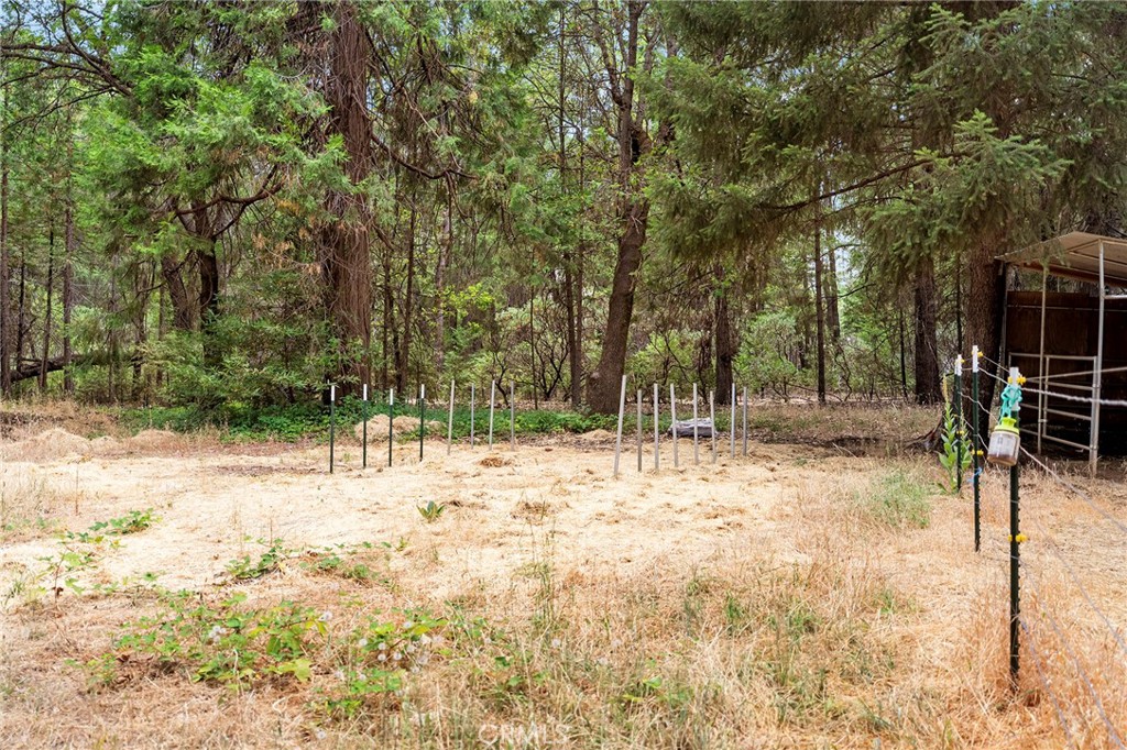 5875 Paschal Property Photo 52