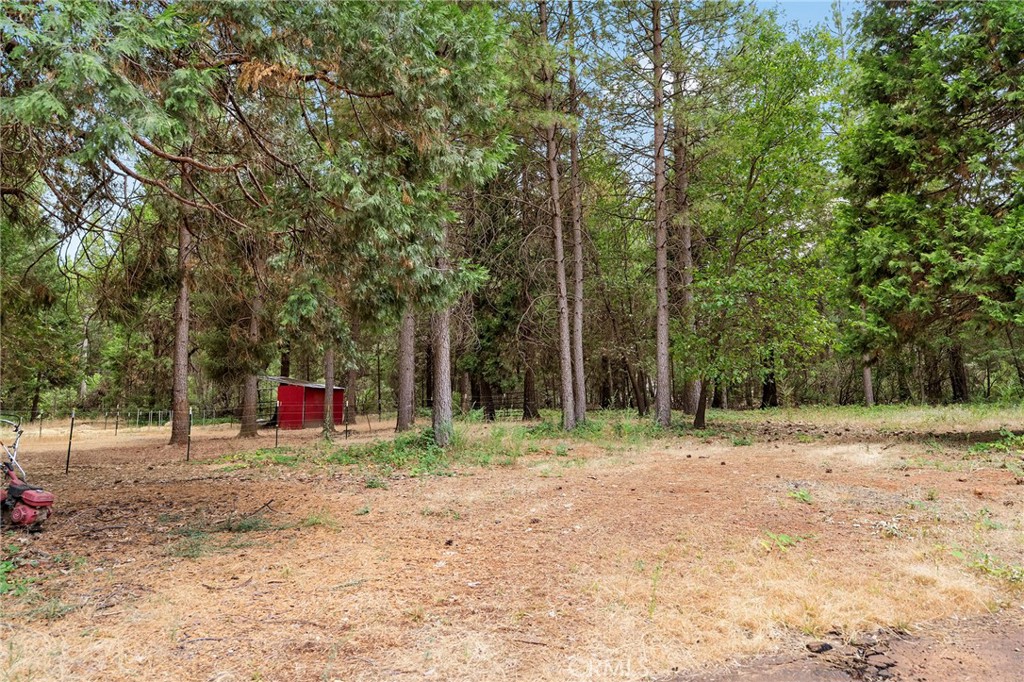 5875 Paschal Property Photo 59