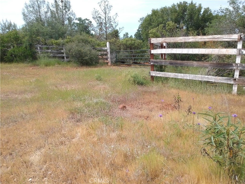 27048 Lack Creek Property Photo 1