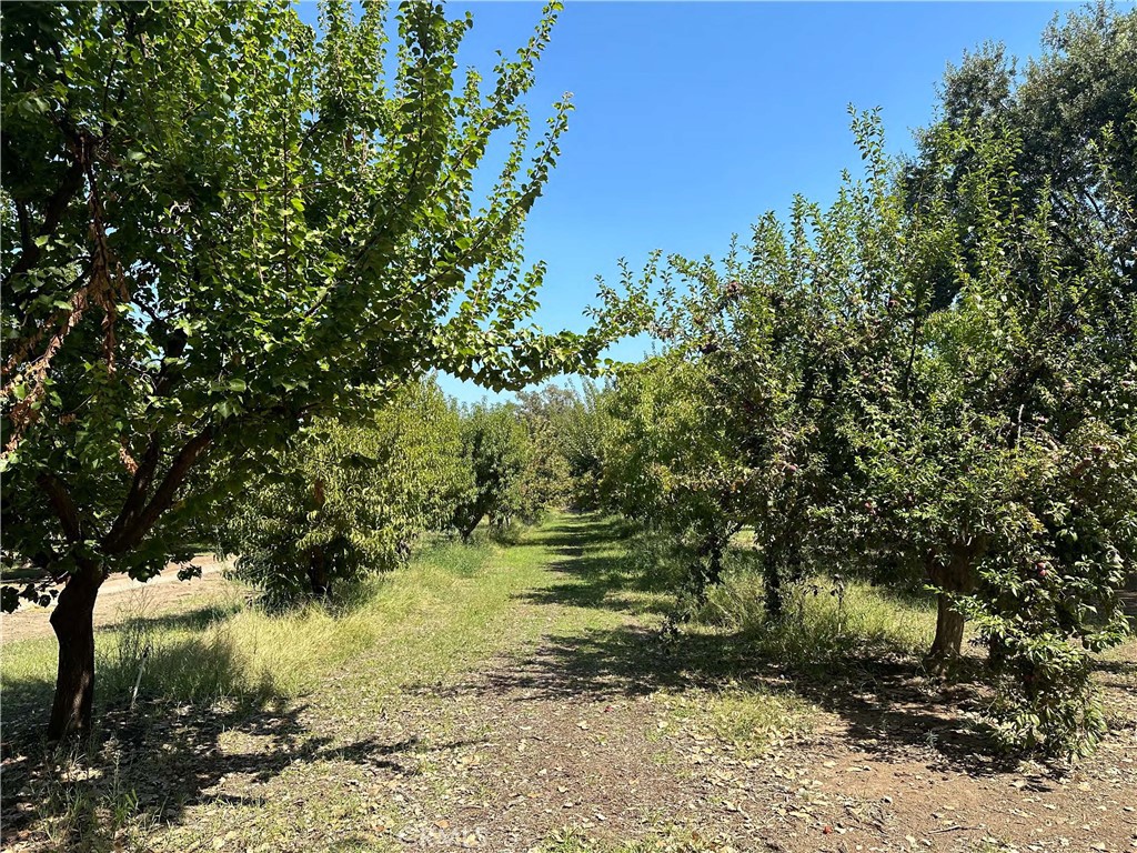 3860 Vadney Avenue Property Photo 14