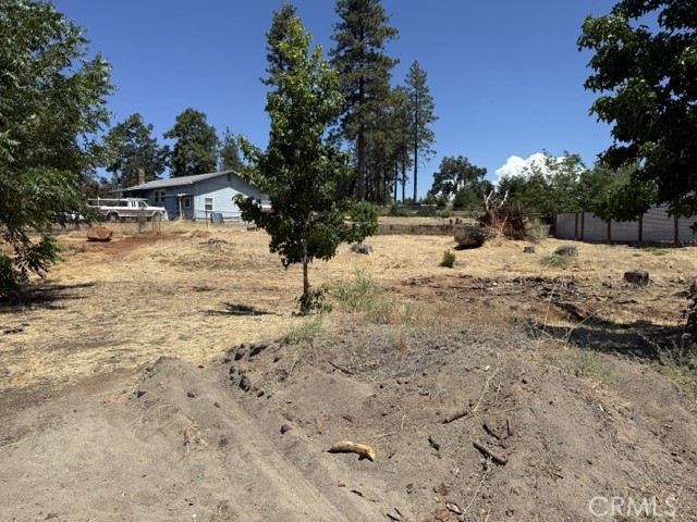 1347 Pearson Property Photo 3