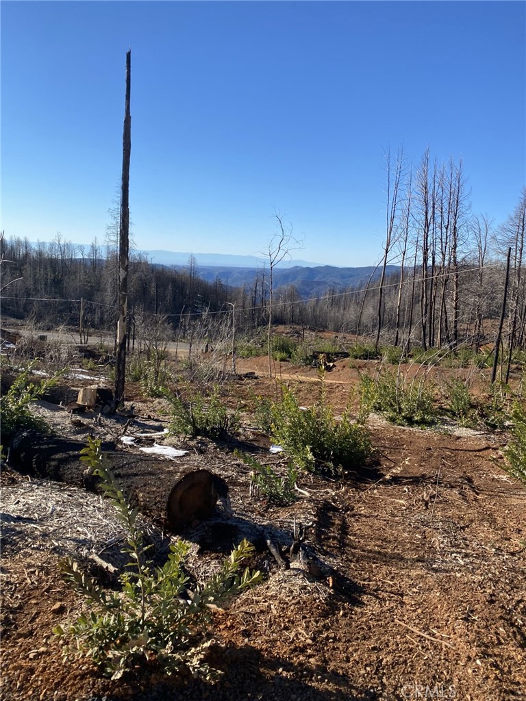 45 Fox Hill Property Photo 1