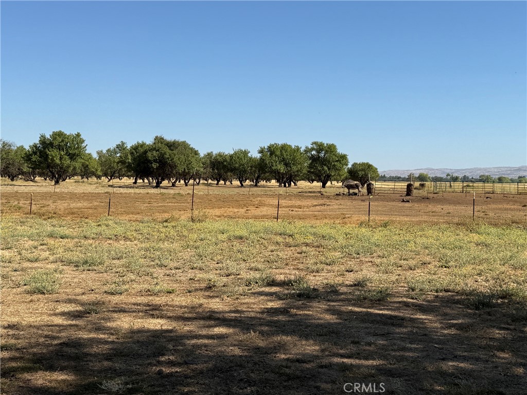 4002 Hicks Property Photo 2