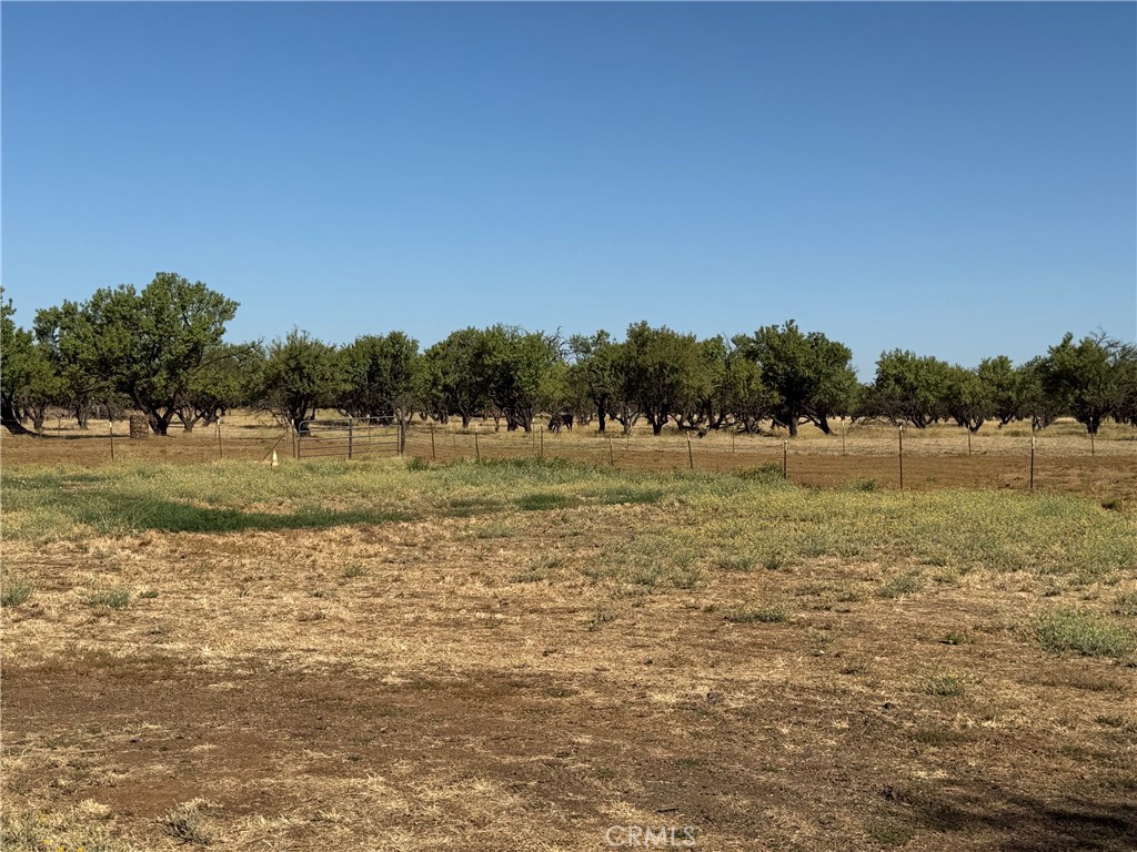 4002 Hicks Property Photo 3