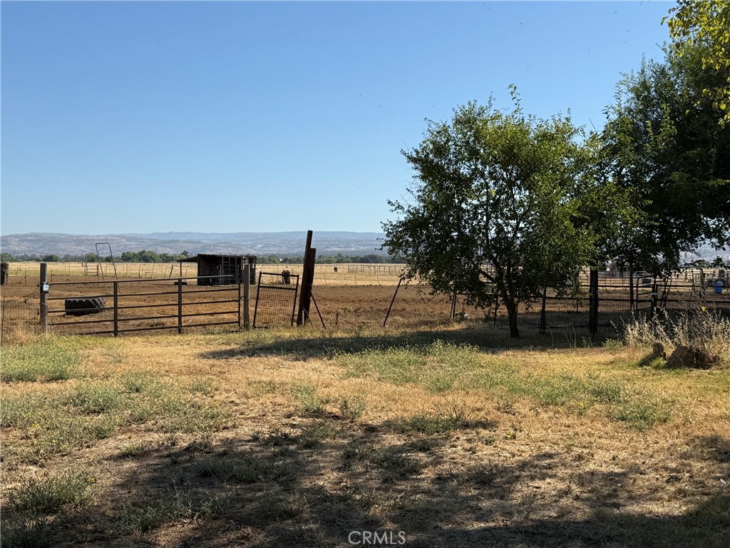 4002 Hicks Property Photo 4