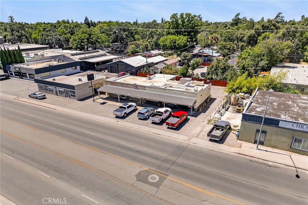 1417 Mangrove Avenue Property Photo 8