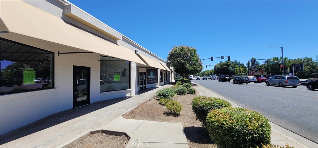 1108 Mangrove Avenue Property Photo 1