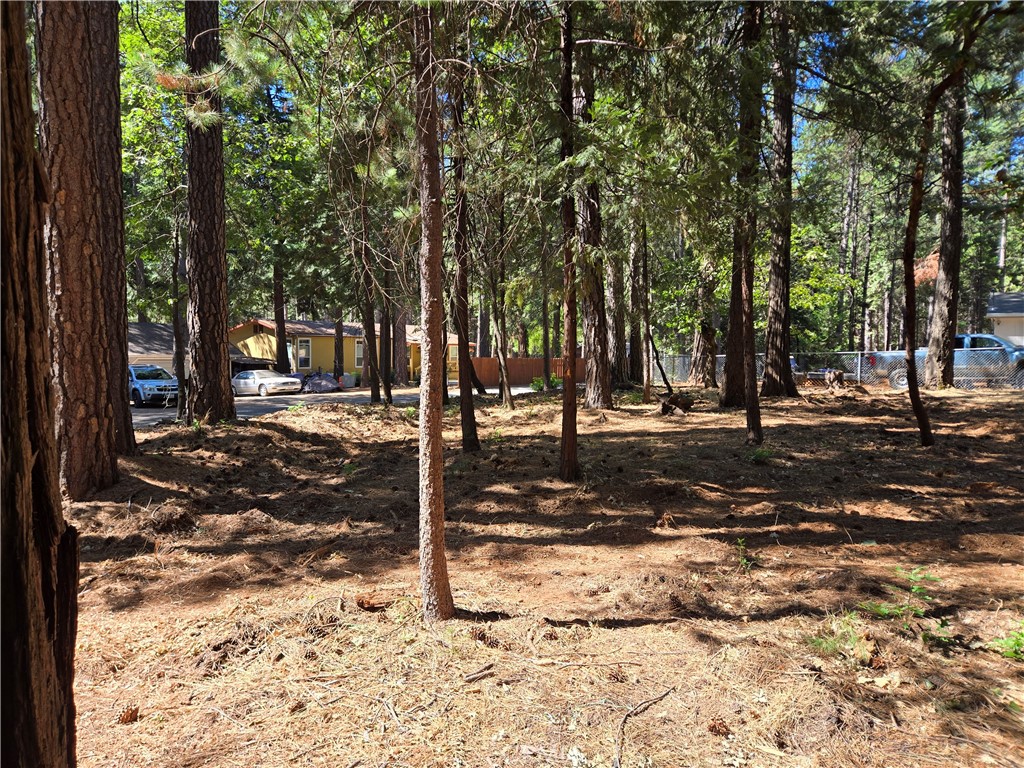 0 Tikker Ln Property Photo 2