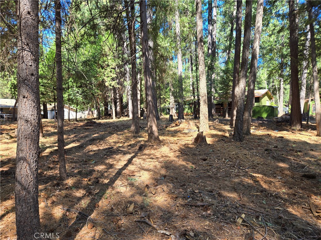 0 Tikker Ln Property Photo 3