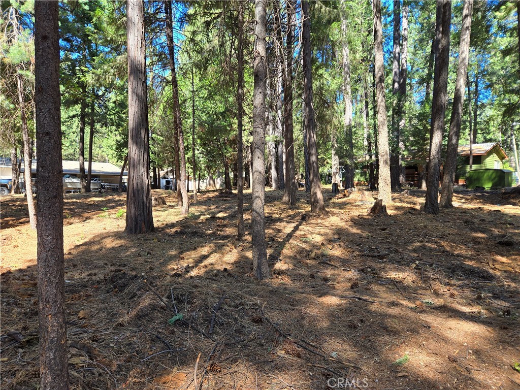 0 Tikker Ln Property Photo 7