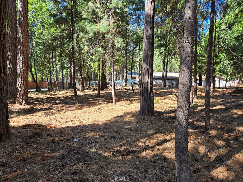 0 Tikker Ln Property Photo 8