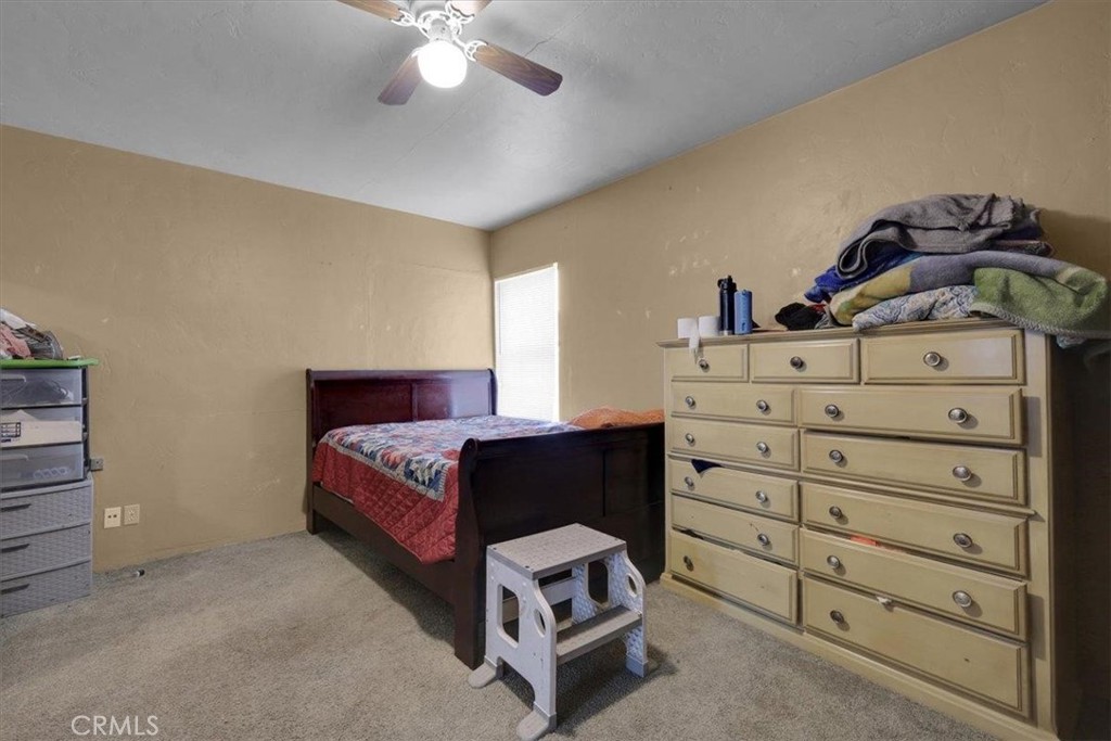 119 117 Morton Street Property Photo 14