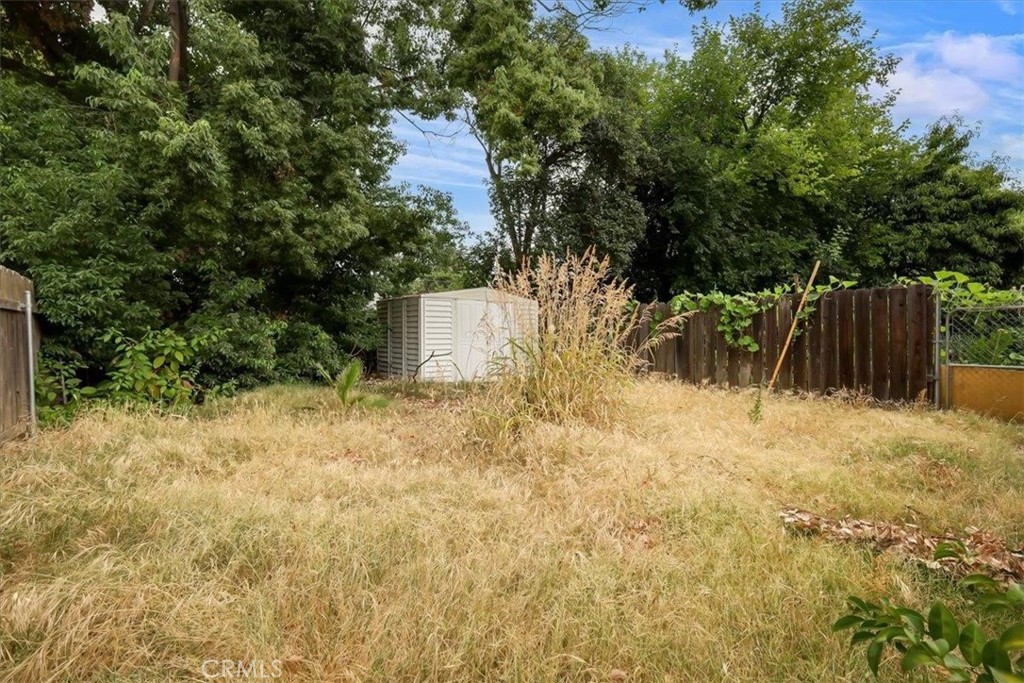 119 117 Morton Street Property Photo 19