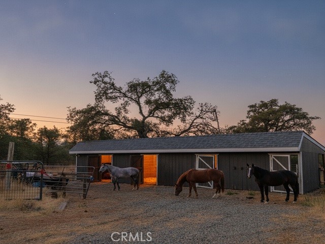 4626 Pat Lane Property Photo 11