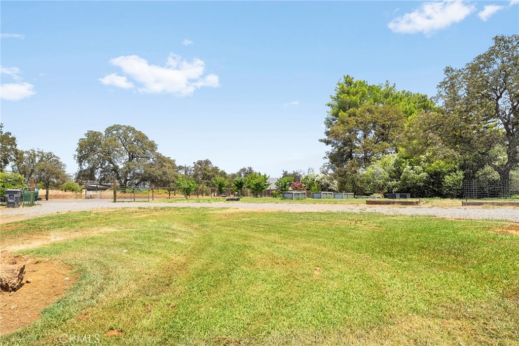 4626 Pat Lane Property Photo 54