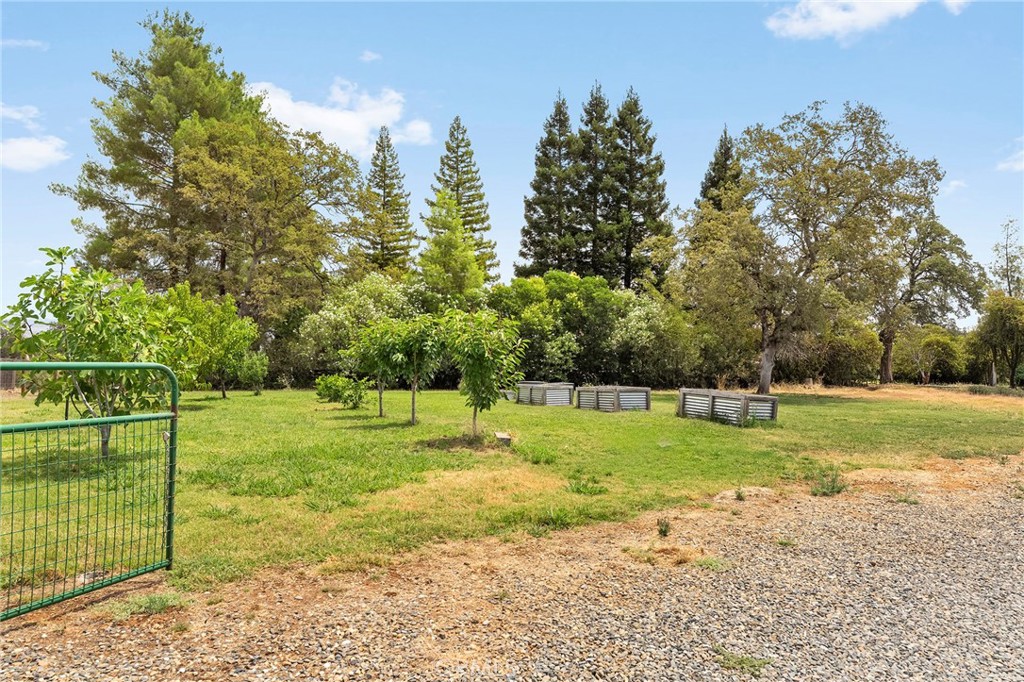 4626 Pat Lane Property Photo 61