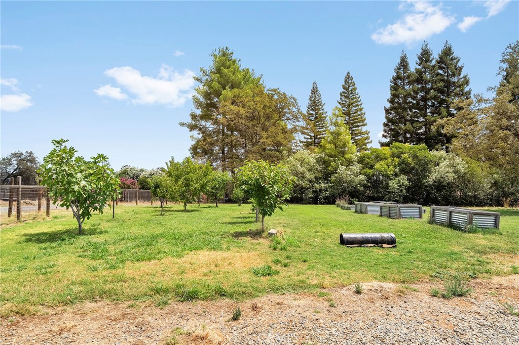 4626 Pat Lane Property Photo 62