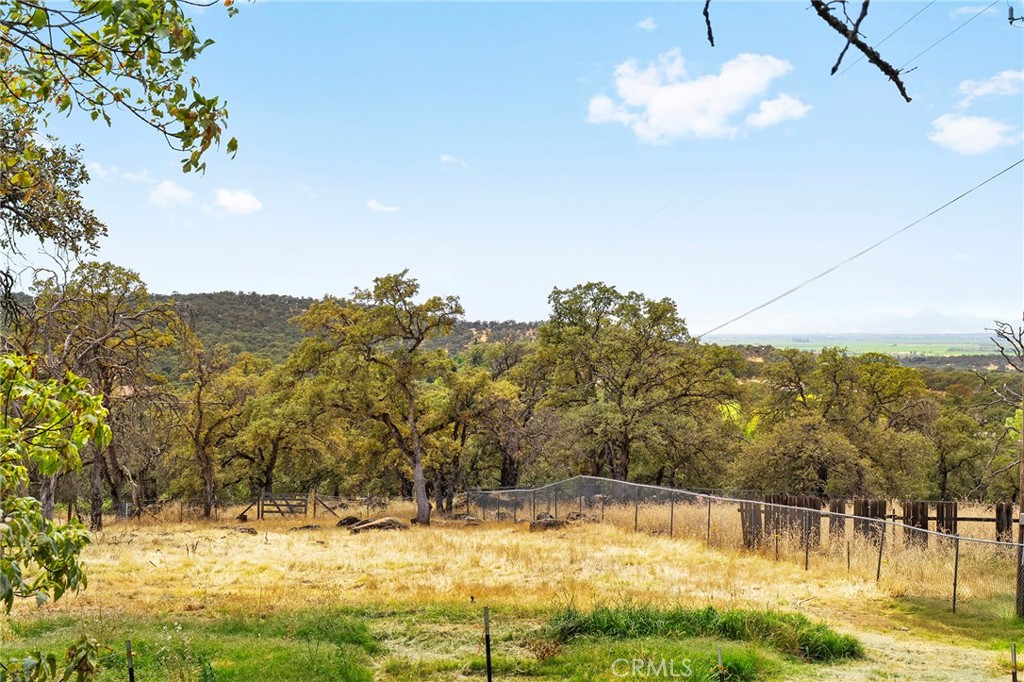 4626 Pat Lane Property Photo 65