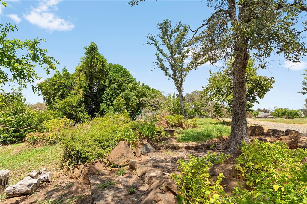 4626 Pat Lane Property Photo 68