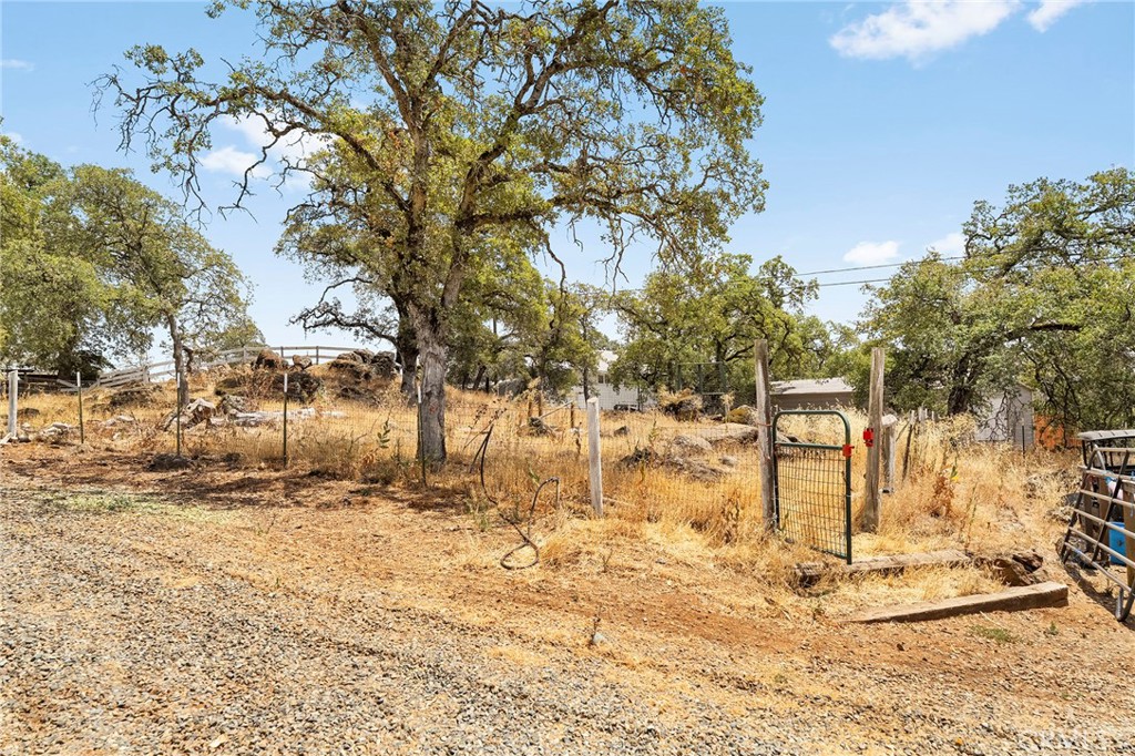 4626 Pat Lane Property Photo 69