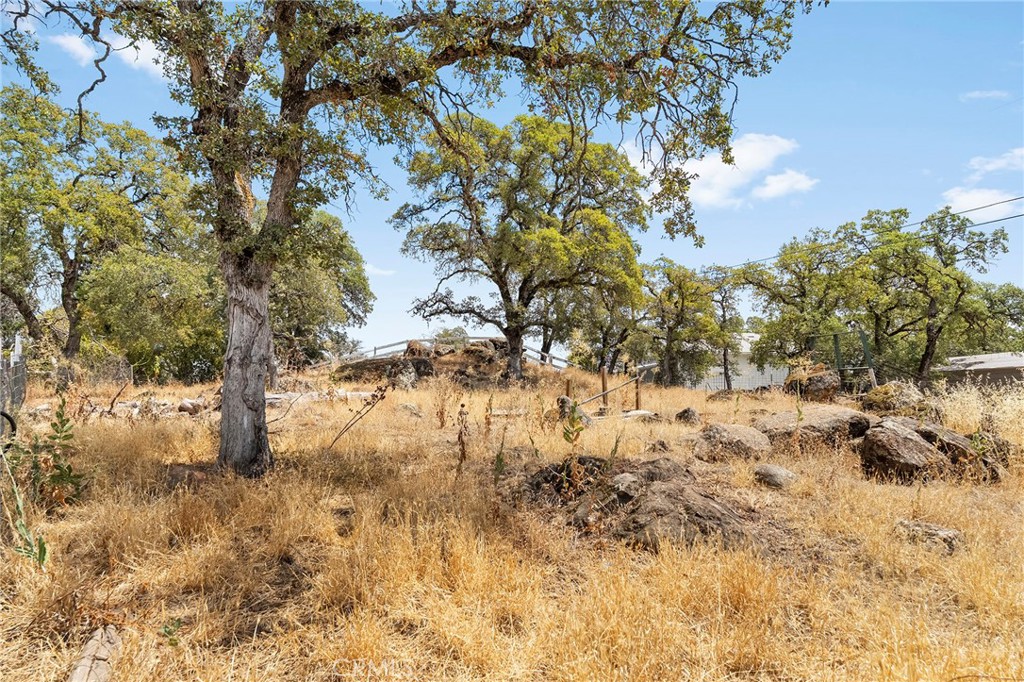 4626 Pat Lane Property Photo 70