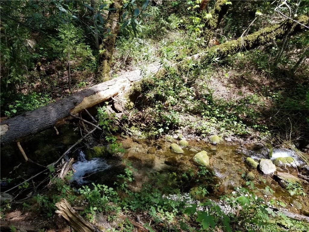 1226 Vilas Property Photo 2