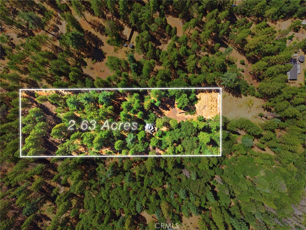 13081 Doe Mill Road Property Photo 3