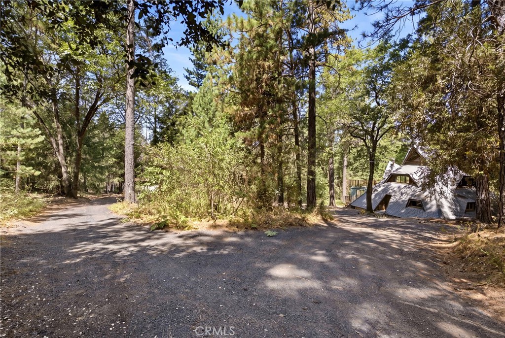 13081 Doe Mill Road Property Photo 22