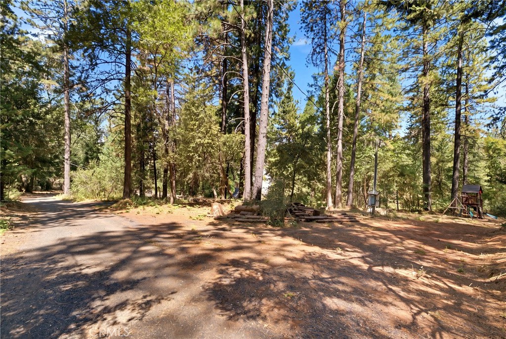 13081 Doe Mill Road Property Photo 23