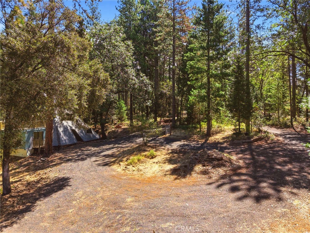 13081 Doe Mill Road Property Photo 26