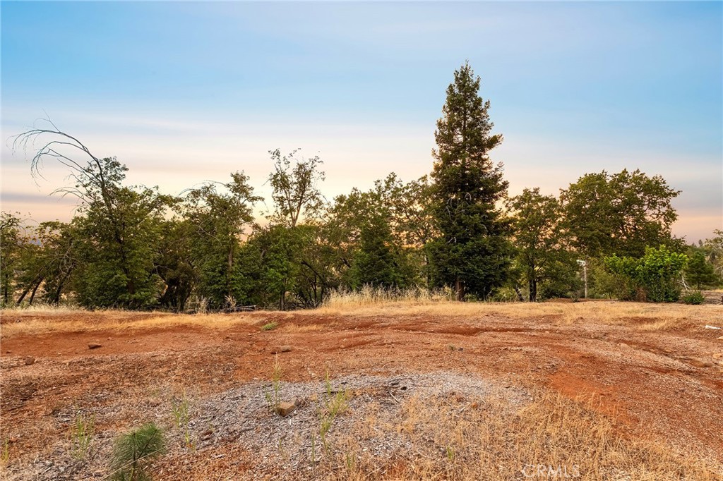 5491 Alpine Court Property Photo 6