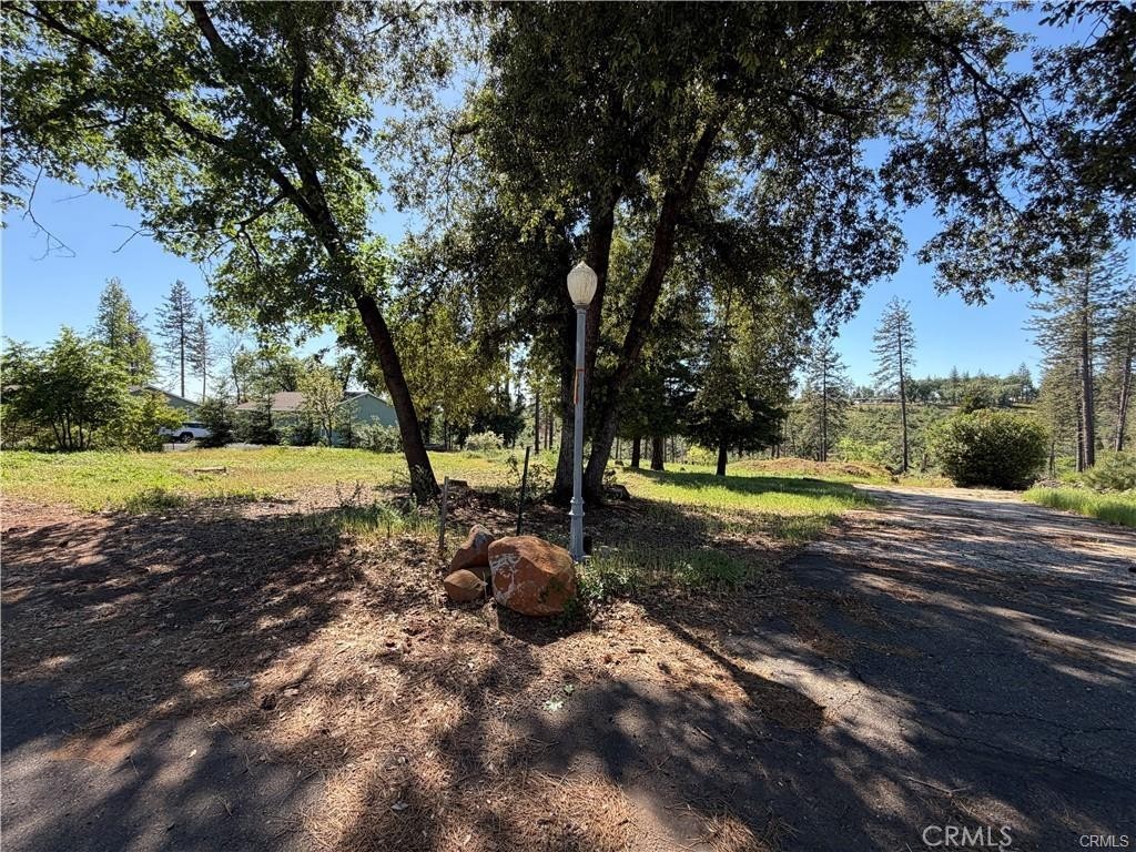 5665 Chaney Property Photo 2