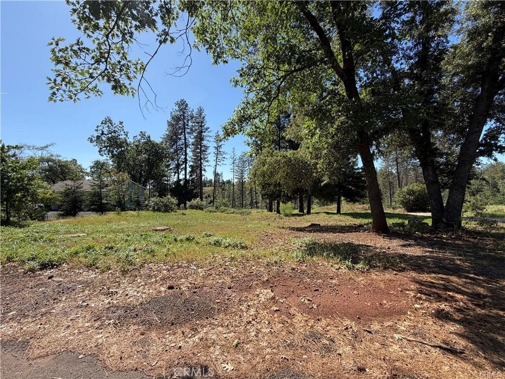 5665 Chaney Property Photo 3