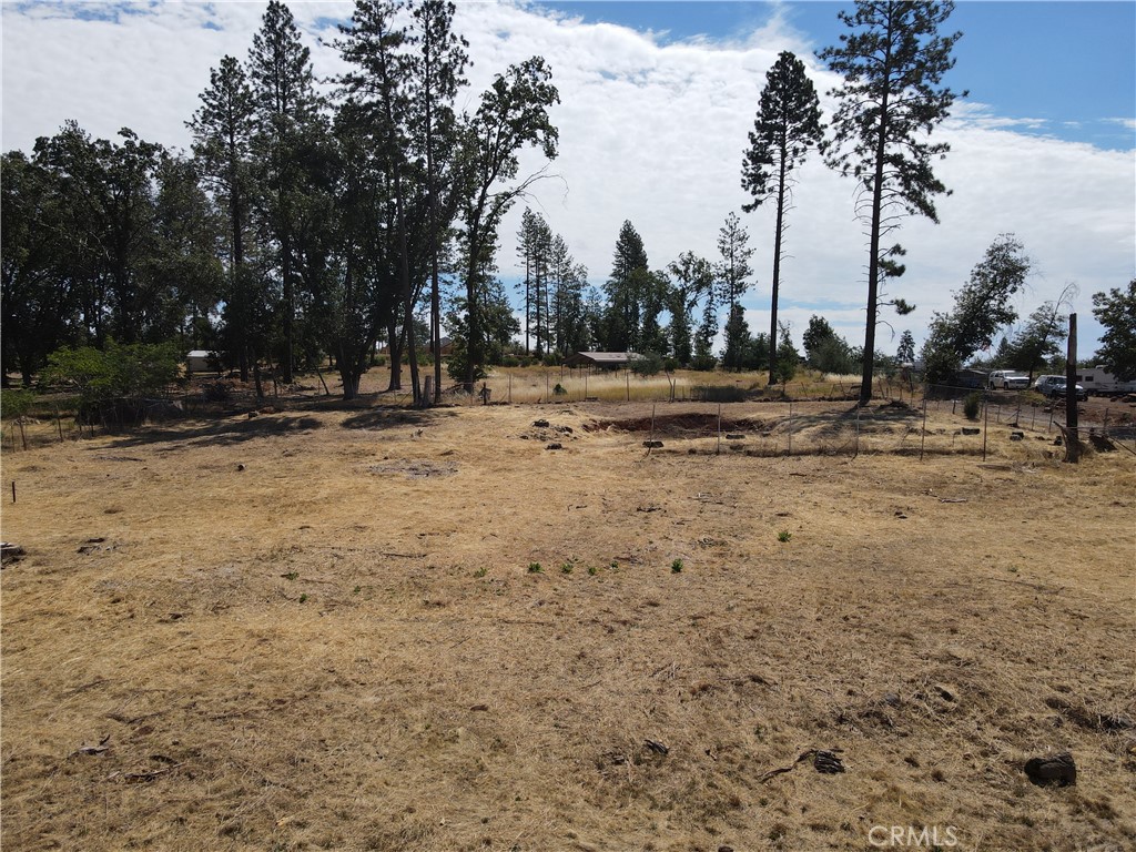 1461 Carroll Lane Property Photo 4