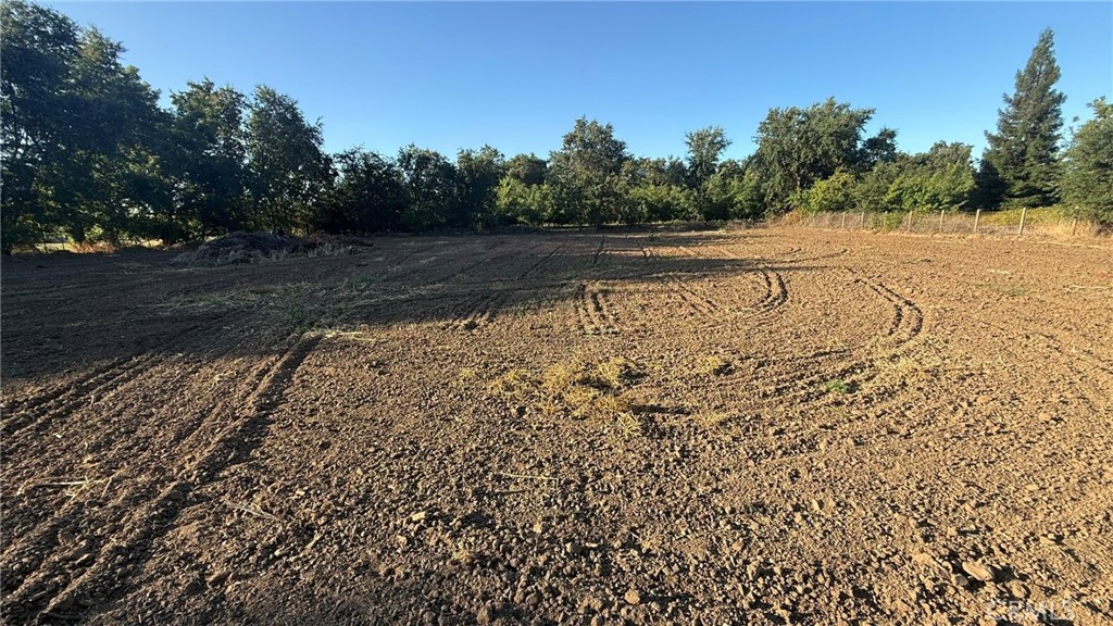 707 Justeson Property Photo 4