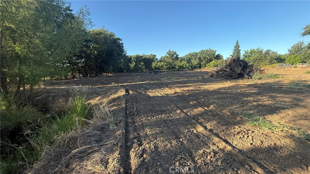 707 Justeson Property Photo 5