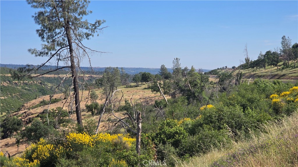0 Clark Property Photo 8