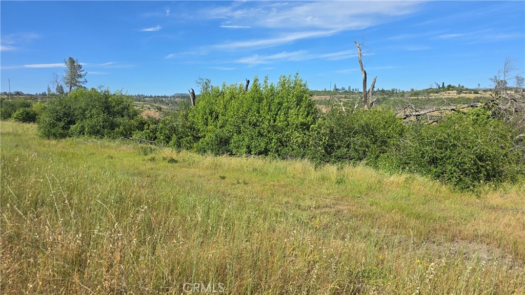 0 Clark Property Photo 13