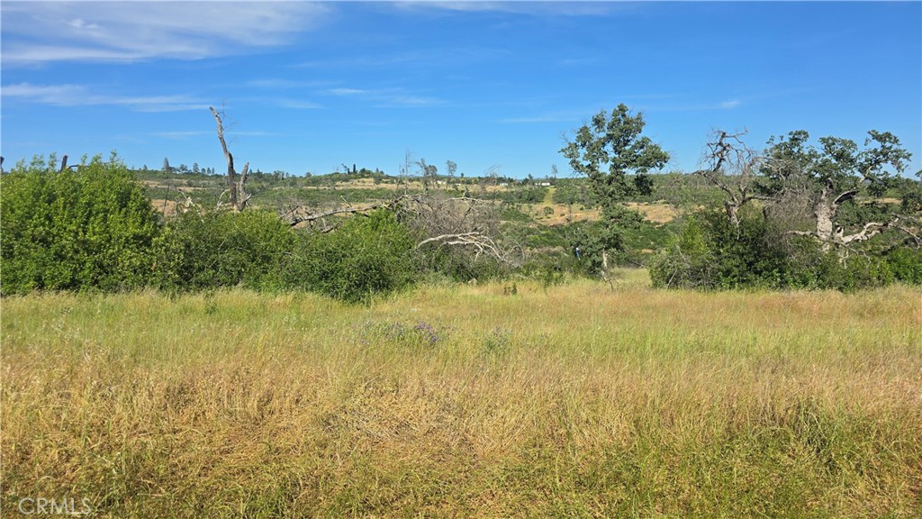 0 Clark Property Photo 14